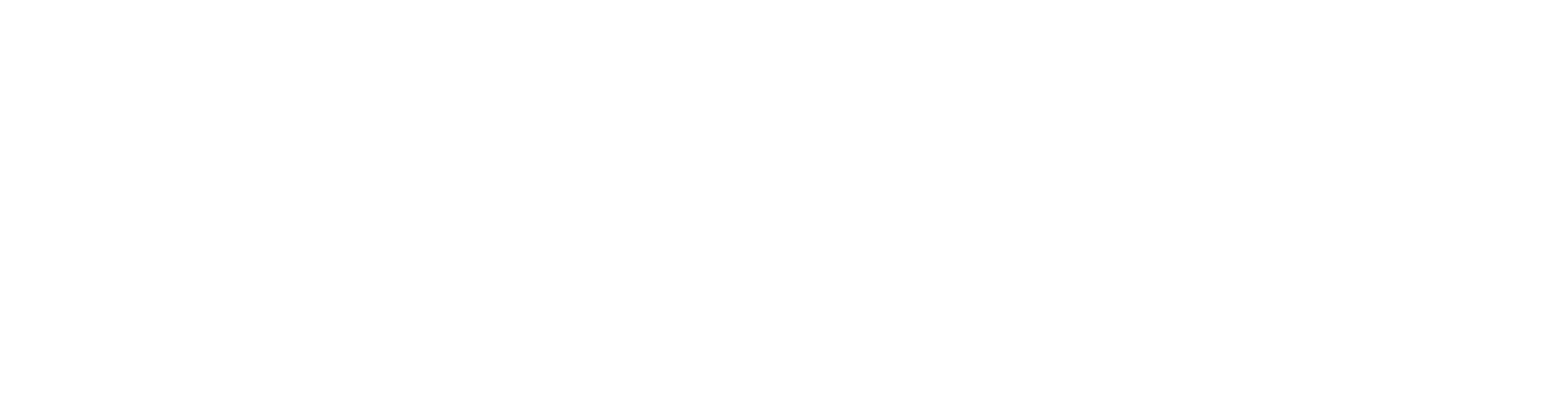 Logo White VreauBani.ro